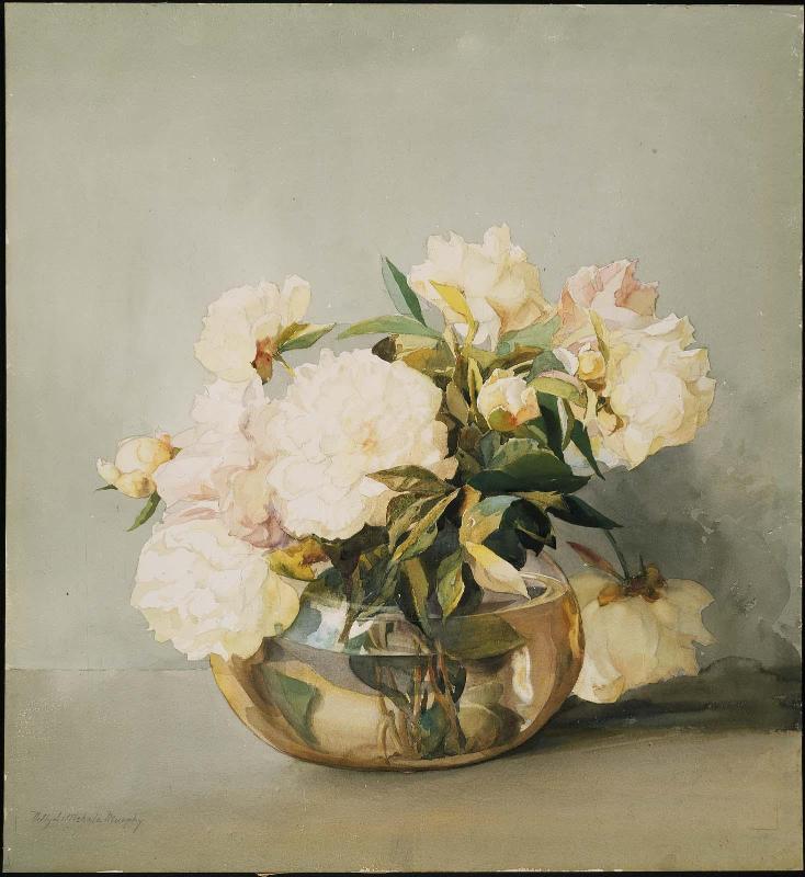Peonies