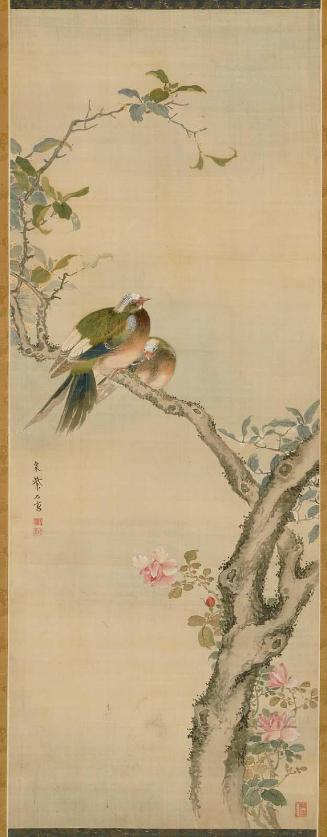 Emerald Doves on Flowering Cherry