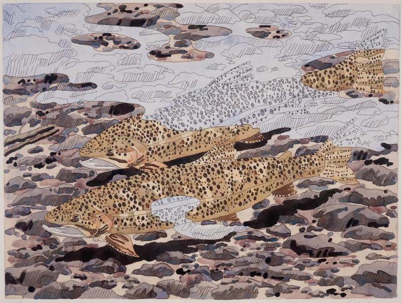 Trout and Reflection
