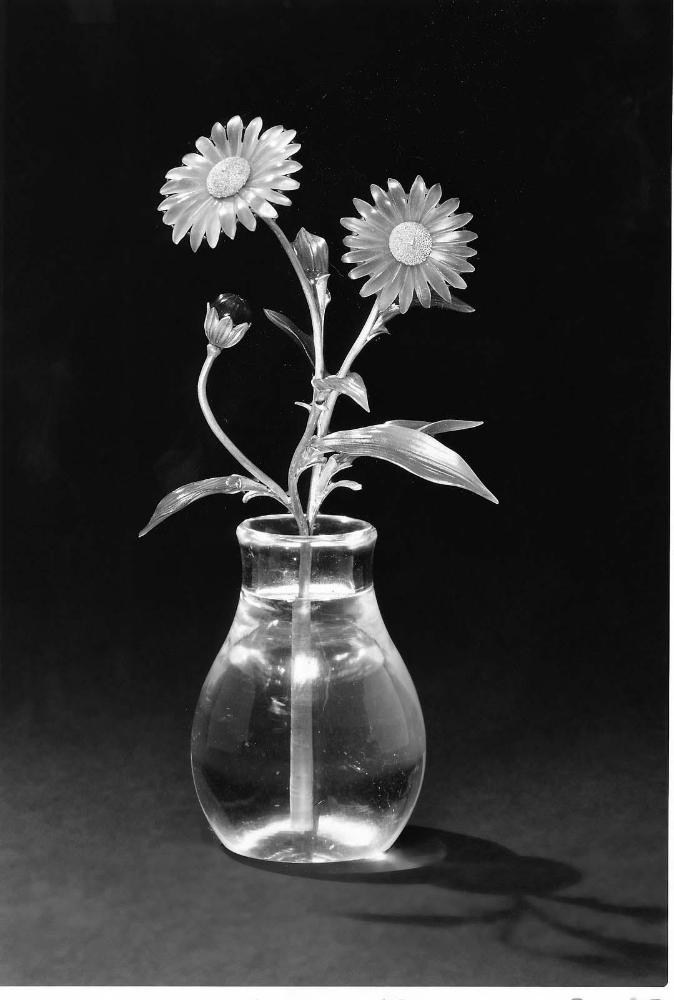 Spray of Blue Asters