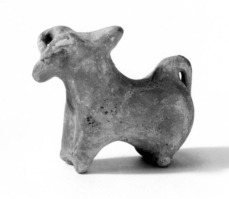 Bull