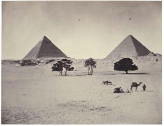 The Giza pyramids of Khufu and Khafra, the pyramid of Khenetkawes, and the head of the Great Sphinx with trees and camels in foreground, looking northwest