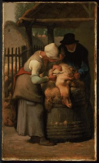 Conservation Status: After Treatment