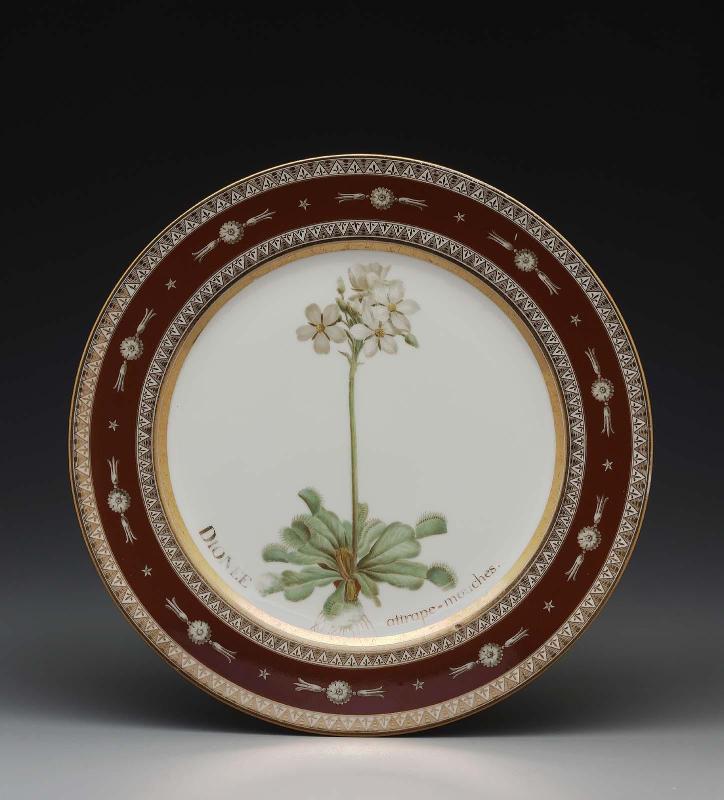 Plate from Service des plantes de la Malmaison