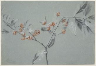 Spray of flowers