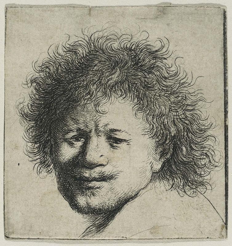 Self Portrait with Long Bushy Hair: Head Only