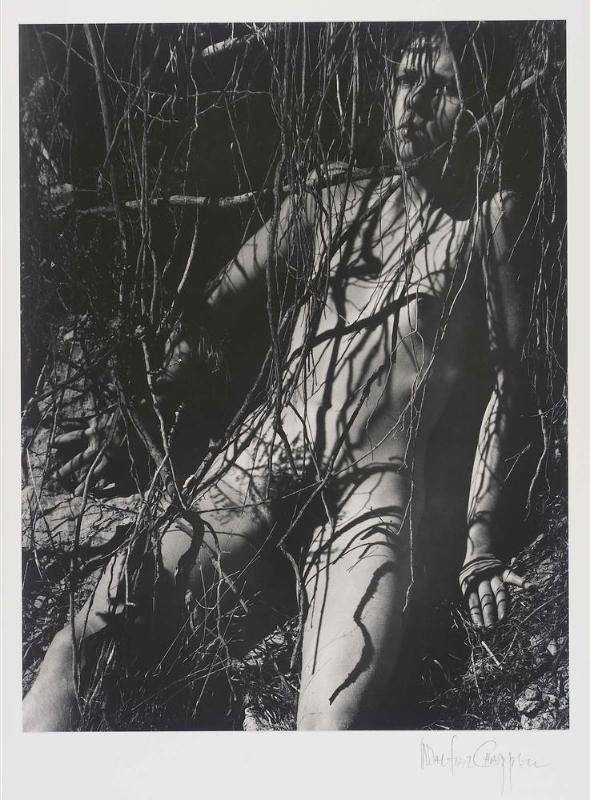 Santa Cruz from the series Solar Incarnate