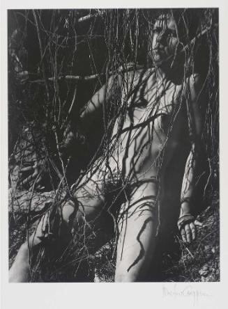 Santa Cruz from the series Solar Incarnate