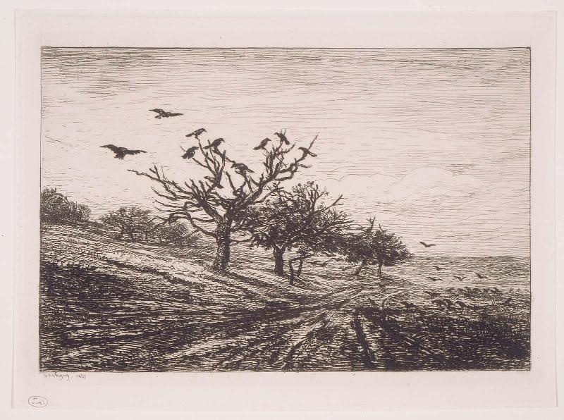 Tree with Crows