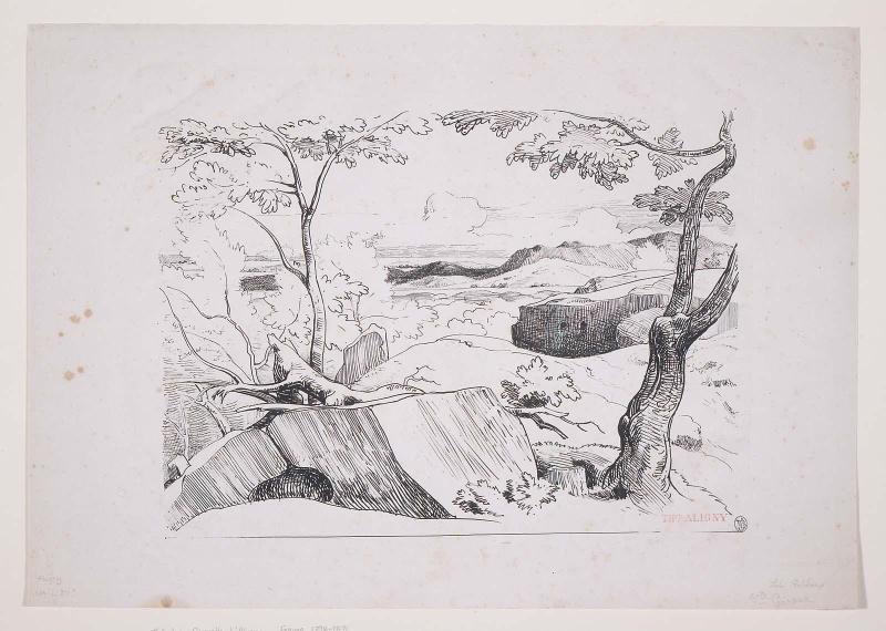 Rocky Landscape