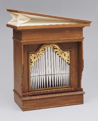 Organ (Positive)