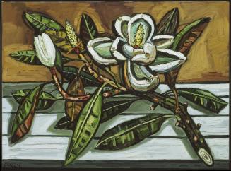 Magnolia