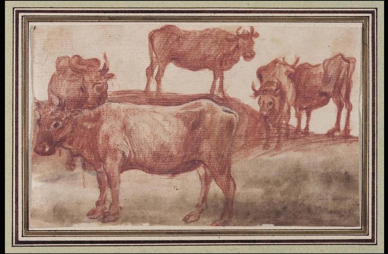 A Herd of Cattle