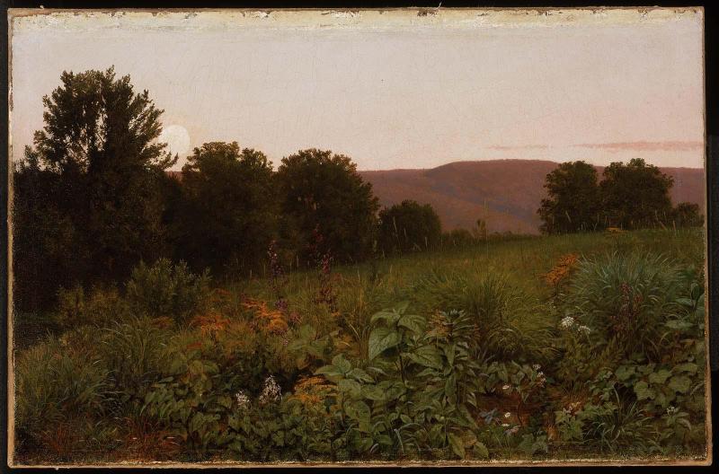 Sunset on the Meadow