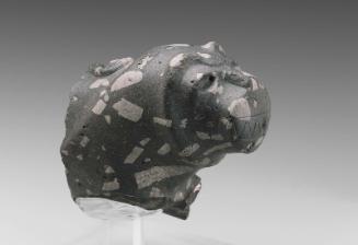 Forepart of a recumbent lion