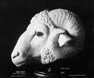 Ram's head