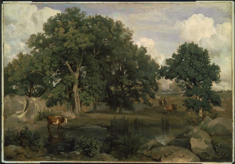 Conservation Status: Before Treatment