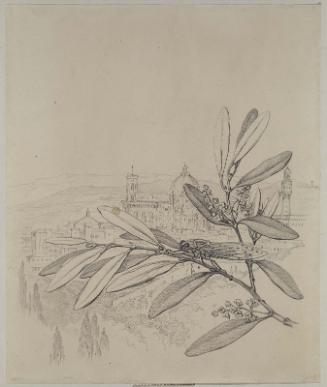 Cicada on a Laurel Branch with a View of Florence