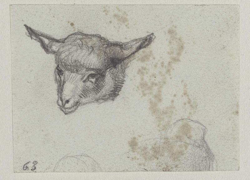 Head of a Lamb