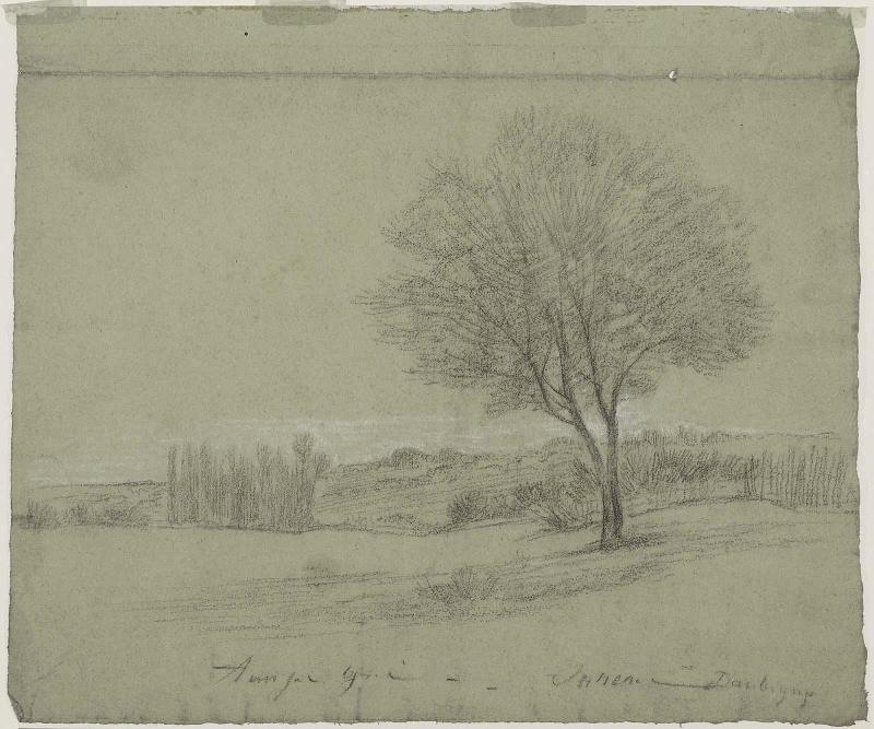 A plain with isolated grove and tree