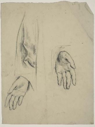 Study of Hands (one in sleeve)