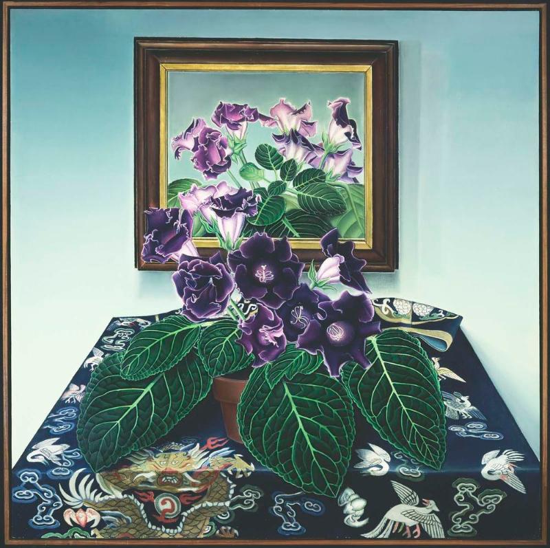 Purple Gloxinia