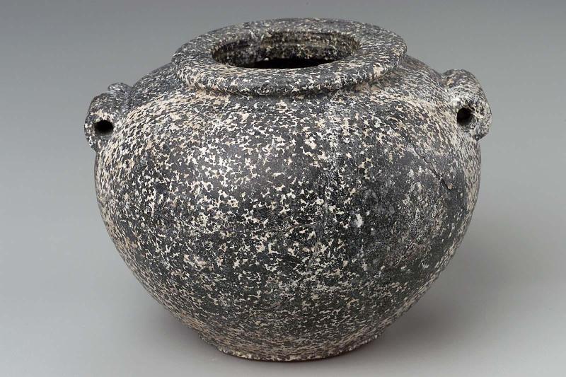 Globular shouldered jar with lug handles