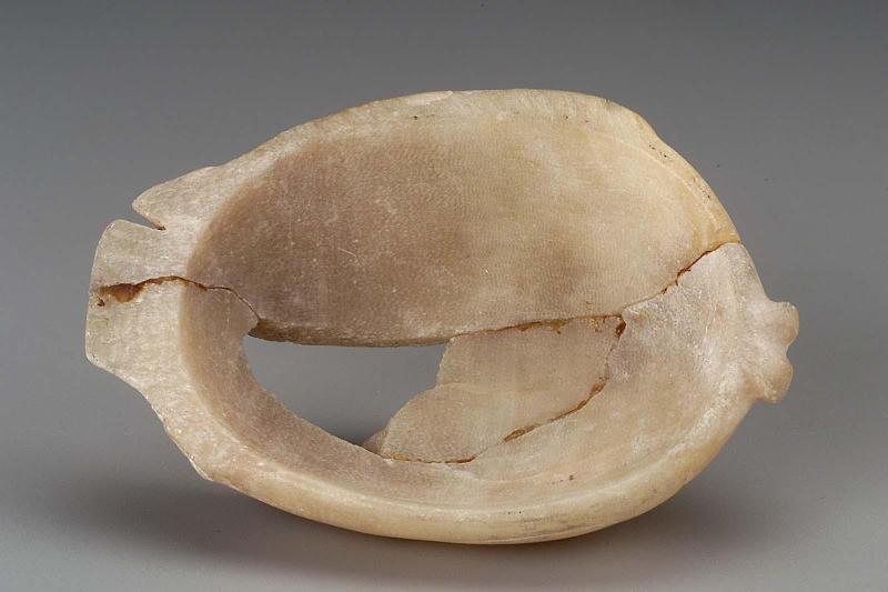 Dish in the form of a fish