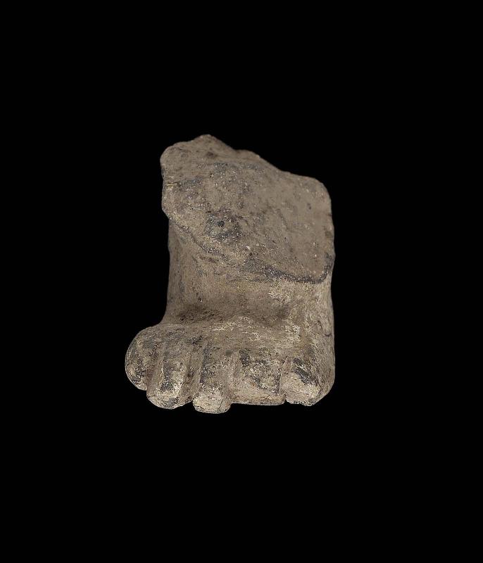Human foot