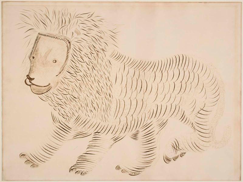 Young Lion