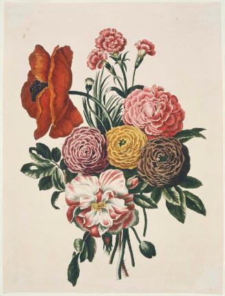 Bunch of Flowers with Poppy and Carnation