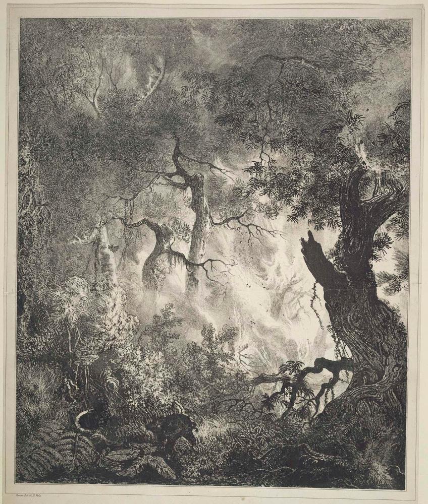 Spontaneous Combustion of a Forest near Colterra in 1829