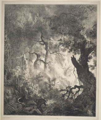 Spontaneous Combustion of a Forest near Colterra in 1829