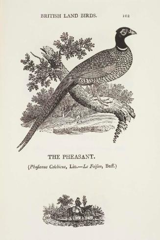 Figures of British Land Birds...to which are Added a Few Foreign Birds, with their Vulgar and Scientific Names