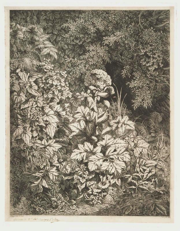 Group of Plants by a Willow