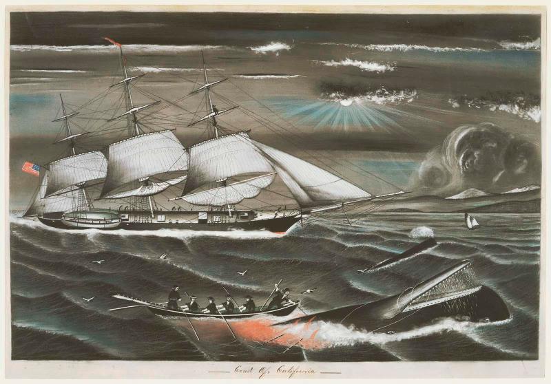 Whaling off the coast of California
