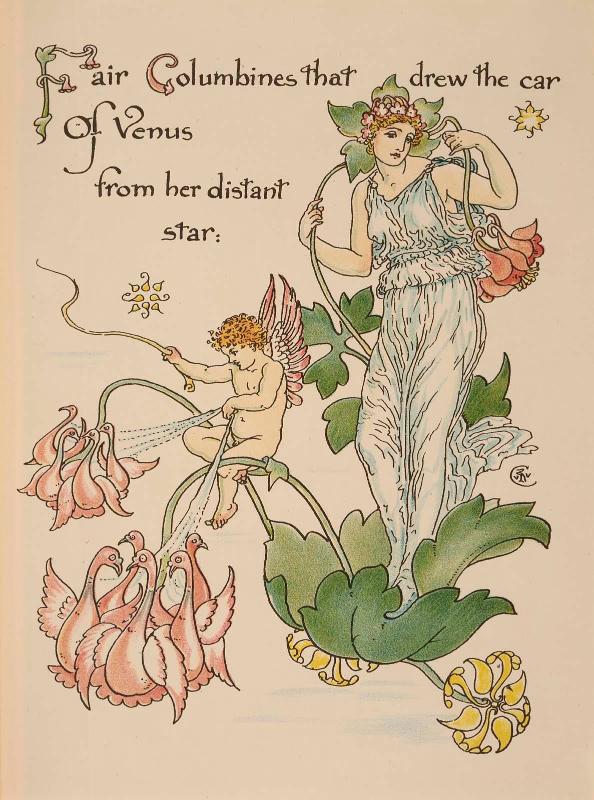 Columbines, One of three Illustrations to Flora's Feast