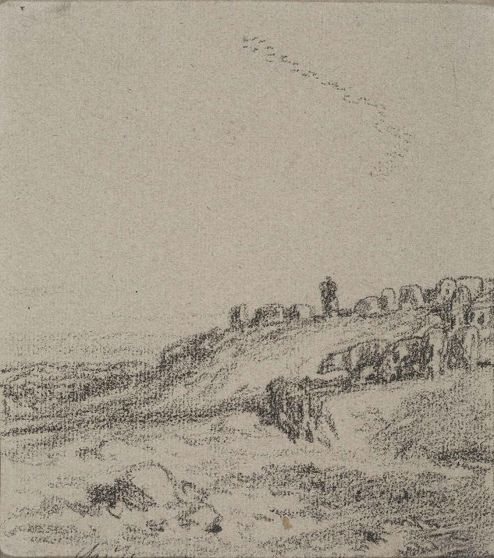 Animals grazing on a hillside