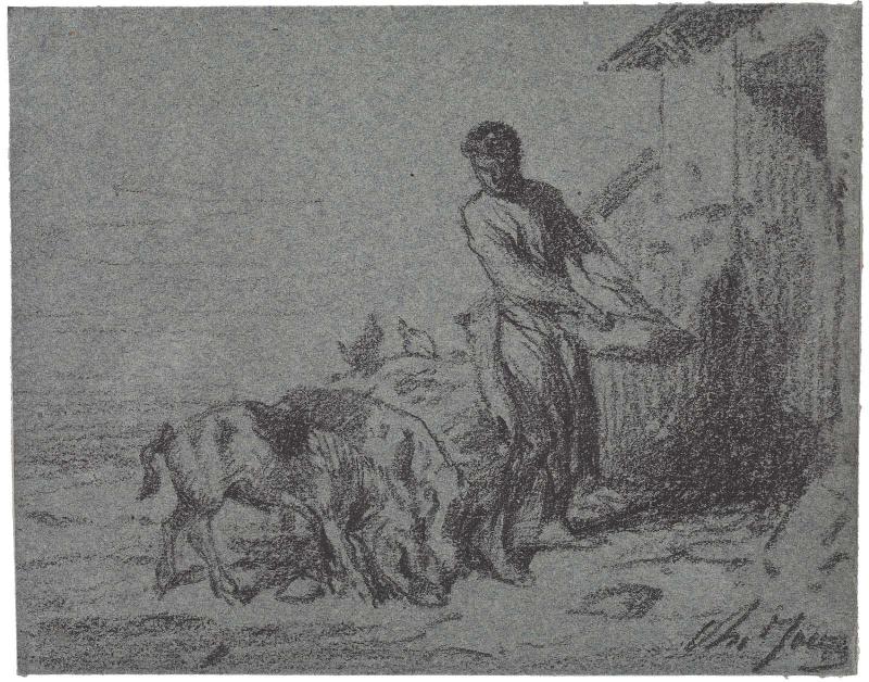 Man feeding pigs