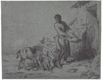 Man feeding pigs