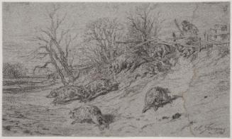 Man chasing pigs