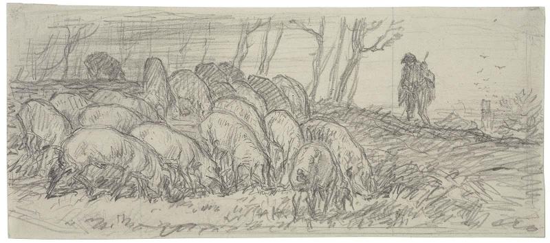 Swineherd and hogs