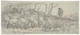 Swineherd and hogs