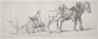 Two horses pulling a plow