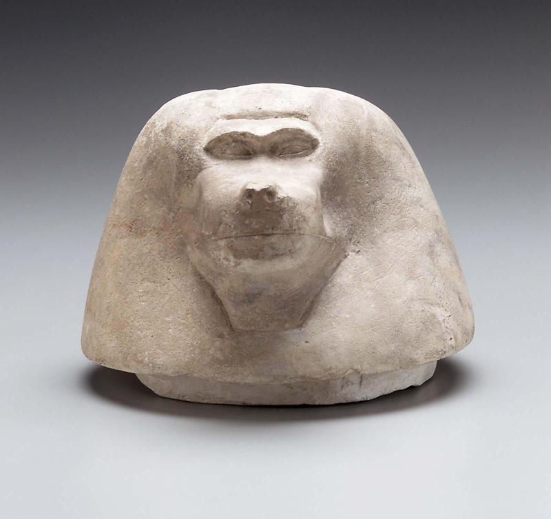 Canopic jar lid (Hapy)