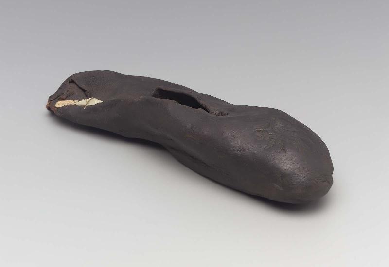 Lady's overshoe