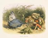 "Teasing a Butterfly"