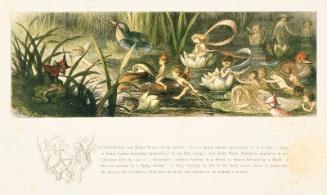 "Waterlillies and Water Fairies"