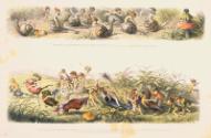 "Race of Snails and Triumphal Progress"