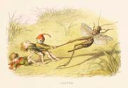 "Cruel Elves"
